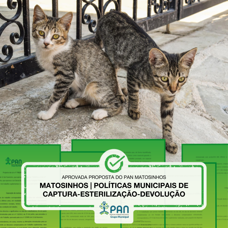 Matosinhos | Políticas Municipais de Captura - Esterilização - Devolução