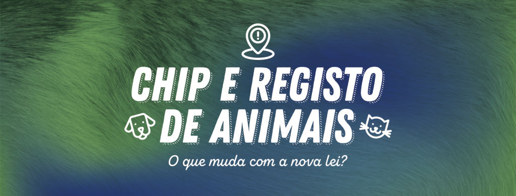 Chip e registo animais