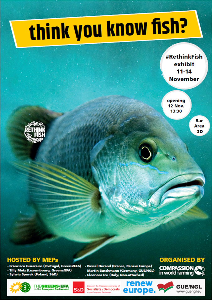 Cartaz Rethink Fish