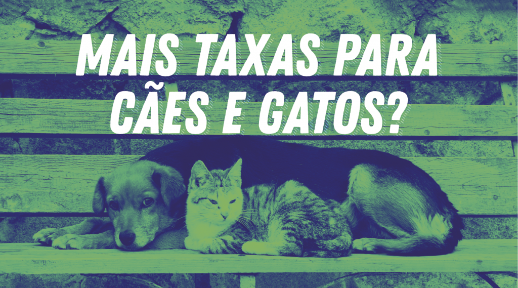 Na imagem estão um cão e um gato, com o título: mais taxas para cães e gatos?