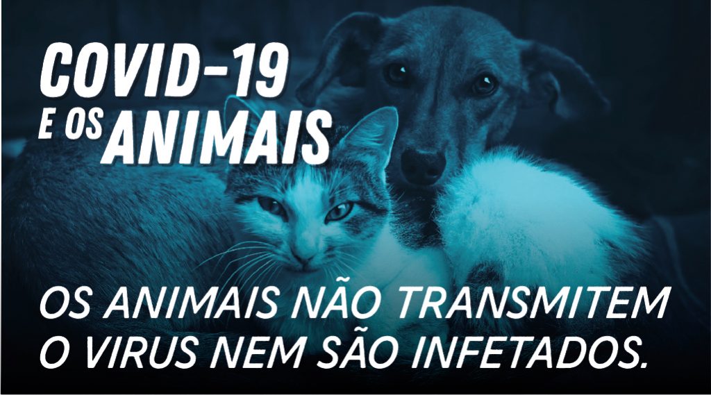 COVID e Animais