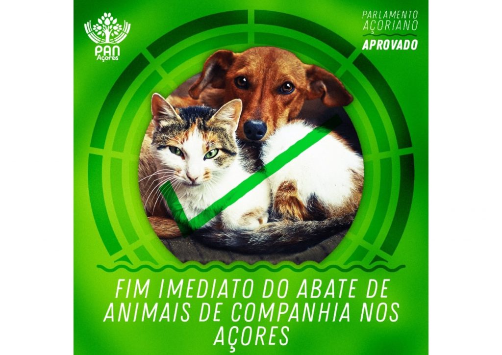 Fim abate animais Açores