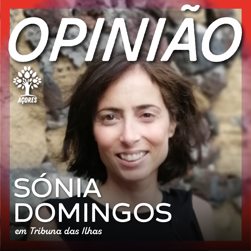 Sónia Domingos - Tribuna das Ilhas